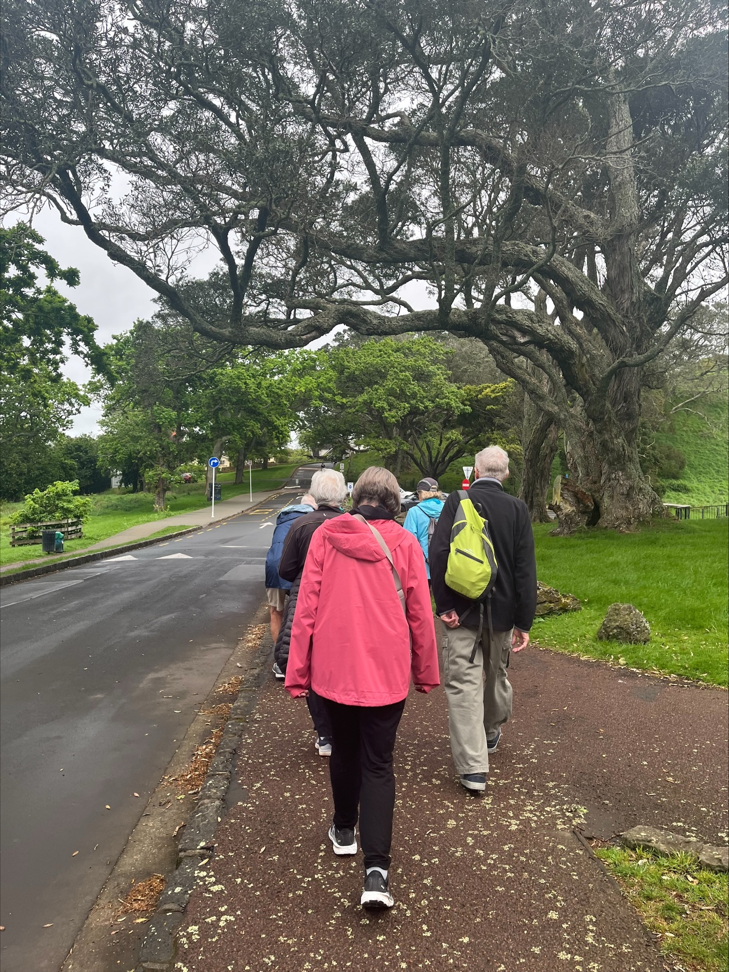 A Springtime Stroll in Cornwall Park